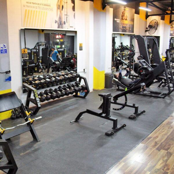 Pesas EVOGYM Juriquilla