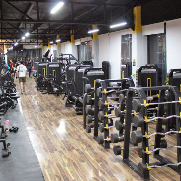 Aparatos funcionales EVOGYM Juriquilla